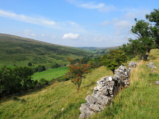 Beautiful green landscape in the Yorkshire Dales