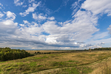 Fototapeta na wymiar Road through fields. Country road in summer field and clouds on blue sky.