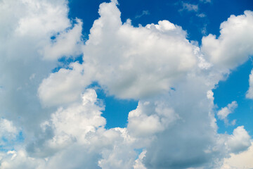 Beautiful sky, clouds, dog face, background