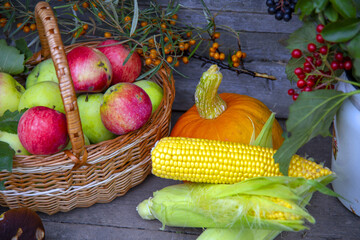 On the wooden porch there are pumpkins, apples in a basket, corn cobs, mushrooms, and branches with...