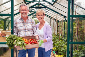 Portrait Of Senior Couple Holding Box Of Home Grown Vegetables In Greenhouse