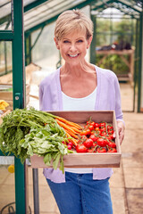 Portrait Of Senior Woman Holding Box Of Home Grown Vegetables In Greenhouse