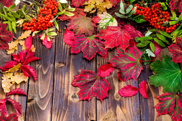 Autumn background. Red and Orange Autumn Leaves on wooden background. Flat lay autumn composition with copy space