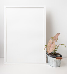 White portrait frame mock up decoration with pink syngonium on galvanize potted over white wall background,copy space for your design