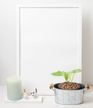 White poster frame mock up, Alocasia macrorrhizos   houseplant in galvanize vase,cat toys and cgreen andle  spa on white table room interior
