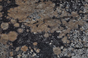texture of stone