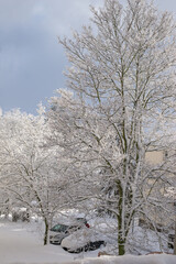 Winter landscape in the city.