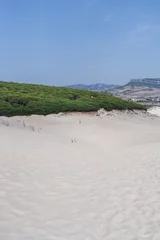 Cercles muraux Plage de Bolonia, Tarifa, Espagne Silueta de gente en dunas de bolonia en playas de cadiz