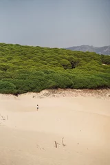 Foto auf Acrylglas Strand Bolonia, Tarifa, Spanien Silueta de gente en dunas de bolonia en playas de cadiz
