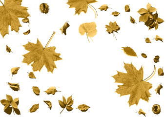 Fall leaves for an autumn background