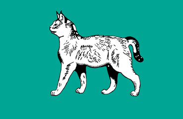 photo of a wild cat, children's coloring of an animal