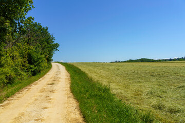 Fototapeta na wymiar Rural landscape in Monferrato near Rivalta Bormida at May