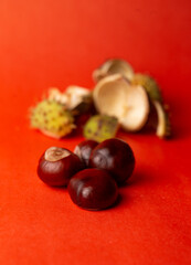 ripe chestnuts without peel on a red background