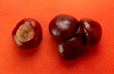 top view of ripe chestnuts on a red background