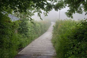 Fototapeta na wymiar cement path between two hedges in the mist