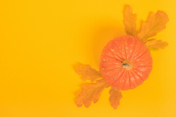 Autumn composition. Fresh pumpkin and oak leaves on a yellow background with copy space. Top view