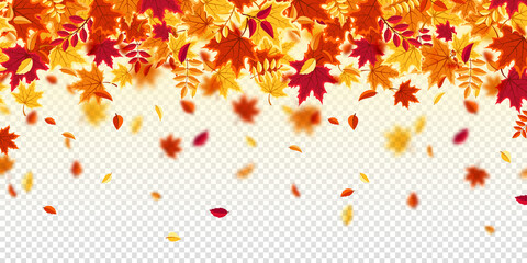 Falling autumn leaves. Nature background with red, orange, yellow foliage. Flying leaf. Season sale. Vector illustration.