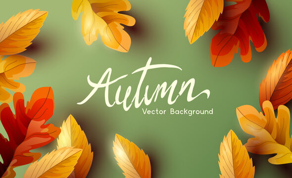 Autumn thanksgiving  background design with falling autumn leaves and room for text. Vector illustration