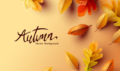 Golden Autumn fall background with of seasonal leaves. Vector illustration. - obrazy, fototapety, plakaty