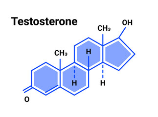 Testosterone hormone formula icon. Testosterone molecule structure male hormone formula - obrazy, fototapety, plakaty