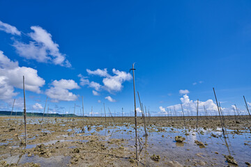 干潮の泡瀬干潟の風景