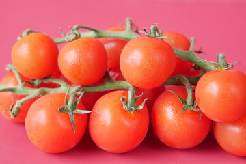 red color cherry tomato on red background 
