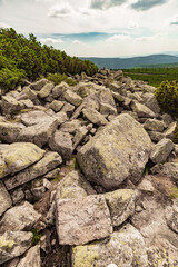 Sudetes, Giant Mountains, Śnieżne Kotły, Schneegruben, Karkonosze, Sudety, Poland