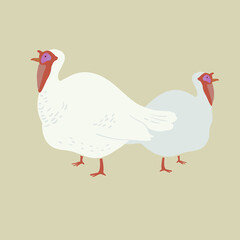 Vector Illustration Of A Turkey Poultry - 457117344