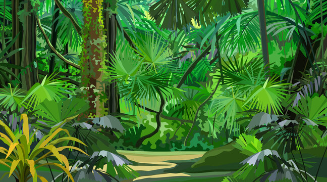 bright cartoon dense tropical jungle with footpath