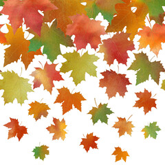 Falling maple leaves seamless border isolated. Watercolor autumn botanical pattern