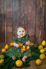 Fototapeta na wymiar Cute little girl up to 1 year old in a green cute dress and a floral wreath with small yellow and orange pumpkins on a brown wooden background 