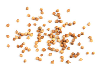 Scattered dried coriander seeds on white background, top view