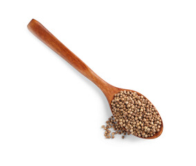Dried coriander seeds with wooden spoon on white background, top view