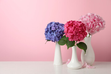 Beautiful bright hortensia flowers on white wooden table against pink background. Space for text