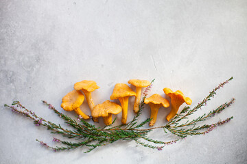 Creative composition of wild chanterelle mushrooms and forest flowers heather on a gray concrete background. Copy space, top view. Freshly picked food from forest. Selective focus. © Natallia