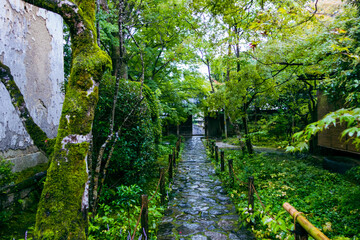 Fototapeta premium old stone bridge