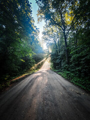 road in the woods