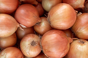 Fresh golden onions. Onions background. Ripe onions. Onions in market