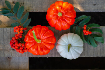 decorative pumpkins top view on wooden onet