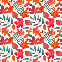 Colorful hand dawn autumn leaves on white background. Thanksgiving seamless pattern, fall textures