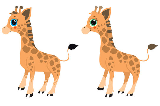 Illustration of a baby giraffe. Find the differences in animals. For printing on paper. Vector illustration