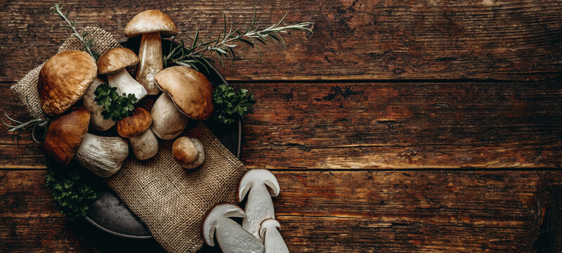 Fresh forest mushrooms, Boletus edulis (king bolete),  penny bun, cep, porcini, mushroom in an old bowl, plate and rosemary parsley herbs on the wooden dark brown table, top view background