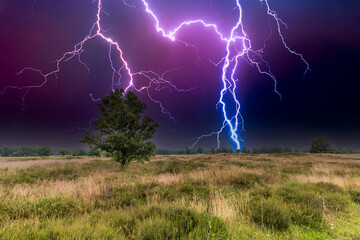 Editing of the natural landscape Balloërveld in the Dutch province of Drenthe with very heavy...