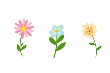 beautiful flowers on white background - illustration design 