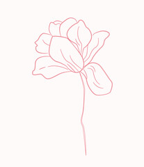 Flowers Line Art Drawing. Flowers Black Sketch Isolated on White Background.