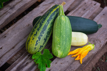 different zucchini lie on a wooden board