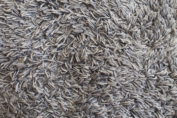The texture of gray carpet. Fleecy surface background