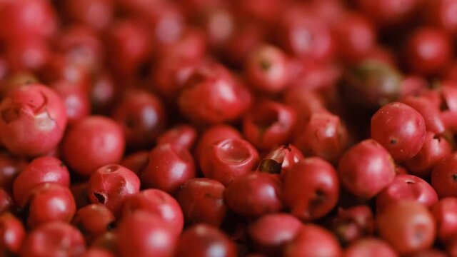 Food spices pink peppercorns red pepper Himalayan pepper berries. Concept of fresh and dietary spices for cooking schools vegans and dietary products. Rotation