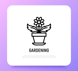 Gardening. Plant with flower in flowerpot thin line icon. Modern vector illustration of home plant.
