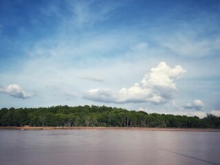 a scene of new season at paddy field